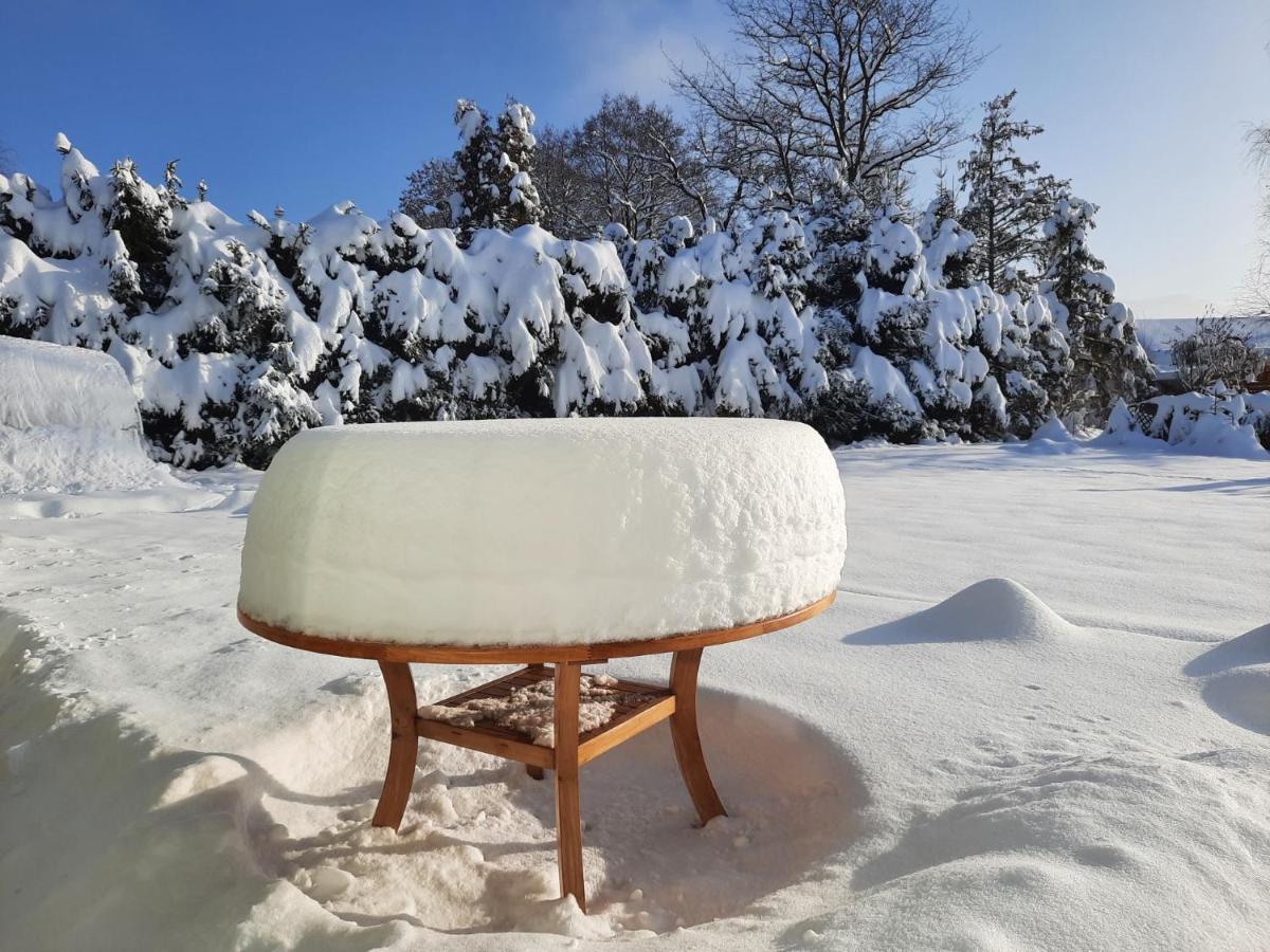 V přírodě na okraji Frenštátu pod Radhoštěm Frenstat pod Radhostem Exterior foto